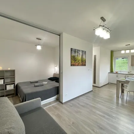 Apartment Grun -vratna-paseky *